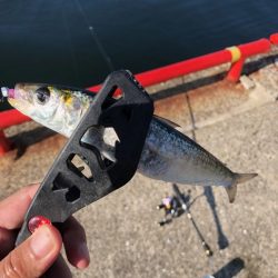 阪神間アジングレポート【がまかつ LUXXE宵姫　インプレッション】