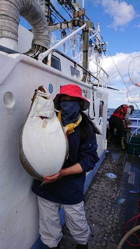 小樽港遊漁船SHAKE 釣果