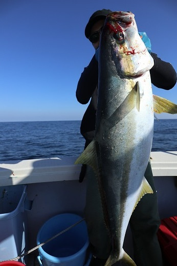 エル・クルーズ 釣果
