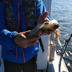 フィッシングガイド りょう 釣果