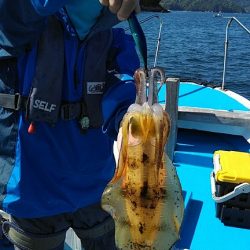 フィッシングガイド りょう 釣果