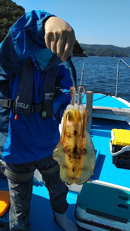 フィッシングガイド りょう 釣果