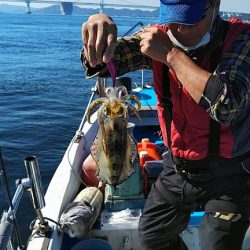 フィッシングガイド りょう 釣果