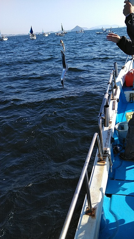 フィッシングガイド りょう 釣果