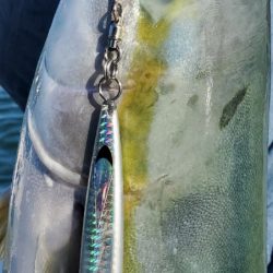 サンマリン 釣果