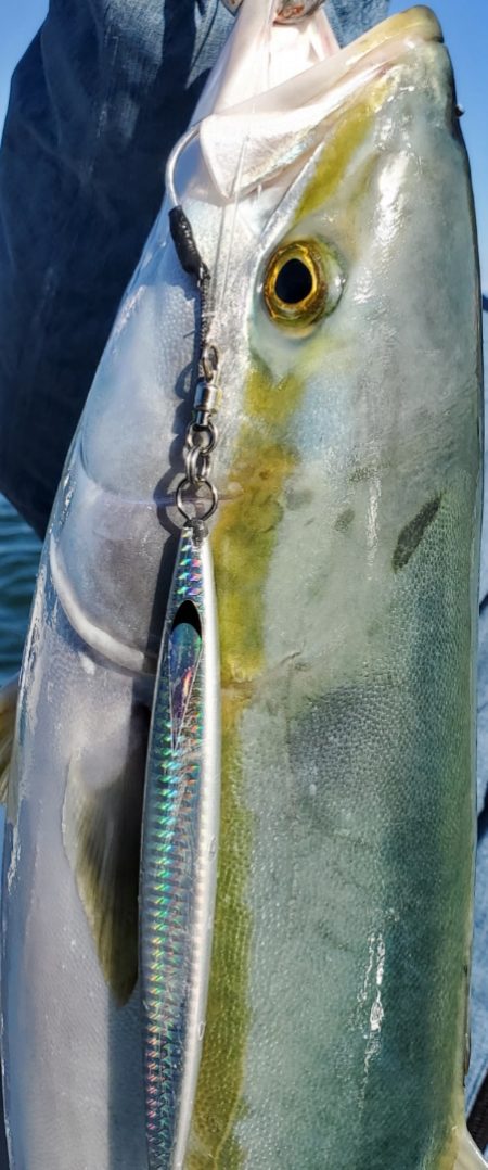 サンマリン 釣果