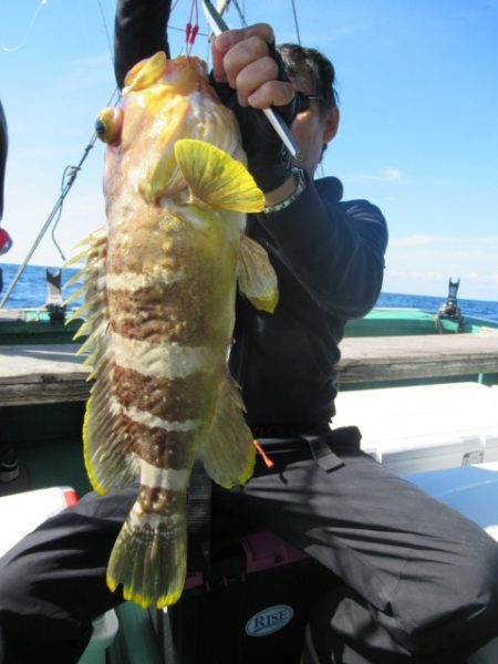 真祐丸 （しんゆうまる） 釣果