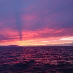 小樽港遊漁船ＳＨＡＫＥ 釣果