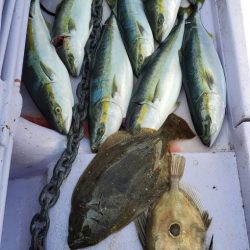 海龍丸(石川) 釣果