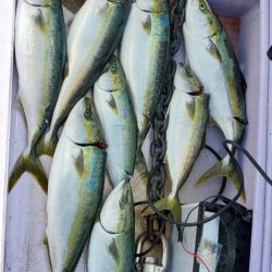 海龍丸(石川) 釣果