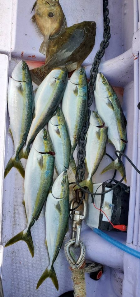 海龍丸(石川) 釣果