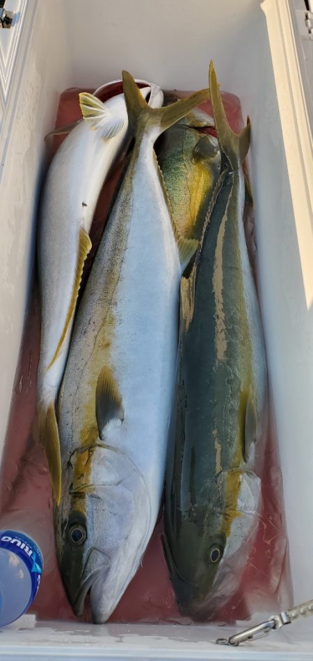 LUSTER『ラスター』 釣果