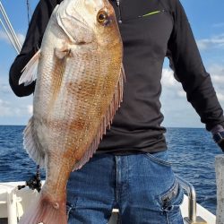 LUSTER『ラスター』 釣果