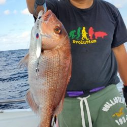 LUSTER『ラスター』 釣果