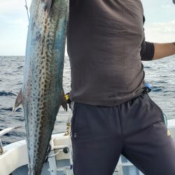 LUSTER『ラスター』 釣果