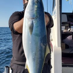 LUSTER『ラスター』 釣果