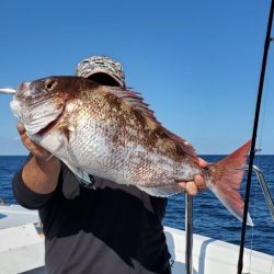 LUSTER『ラスター』 釣果