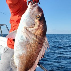 LUSTER『ラスター』 釣果