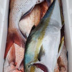 LUSTER『ラスター』 釣果