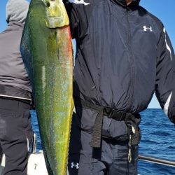 LUSTER『ラスター』 釣果