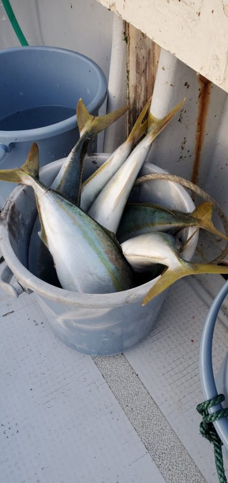 LUSTER『ラスター』 釣果