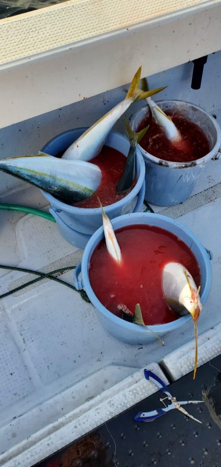 LUSTER『ラスター』 釣果