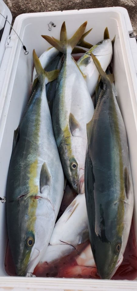 LUSTER『ラスター』 釣果