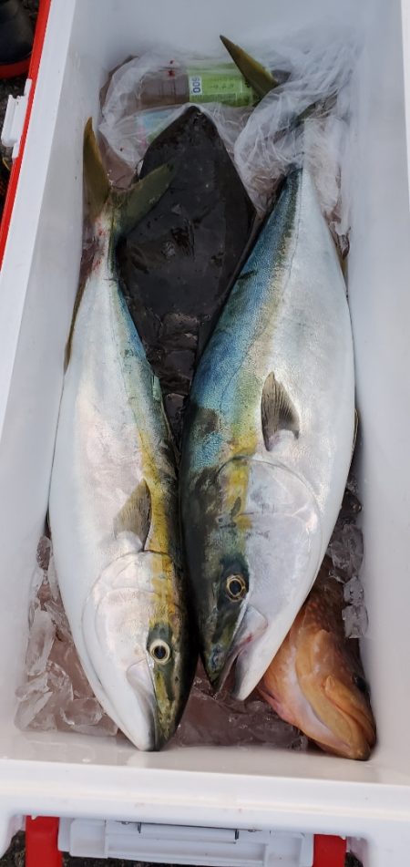 LUSTER『ラスター』 釣果