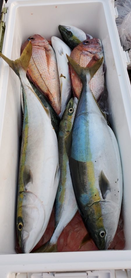 LUSTER『ラスター』 釣果