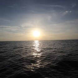 エル・クルーズ 釣果