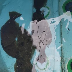 海龍丸（石川） 釣果