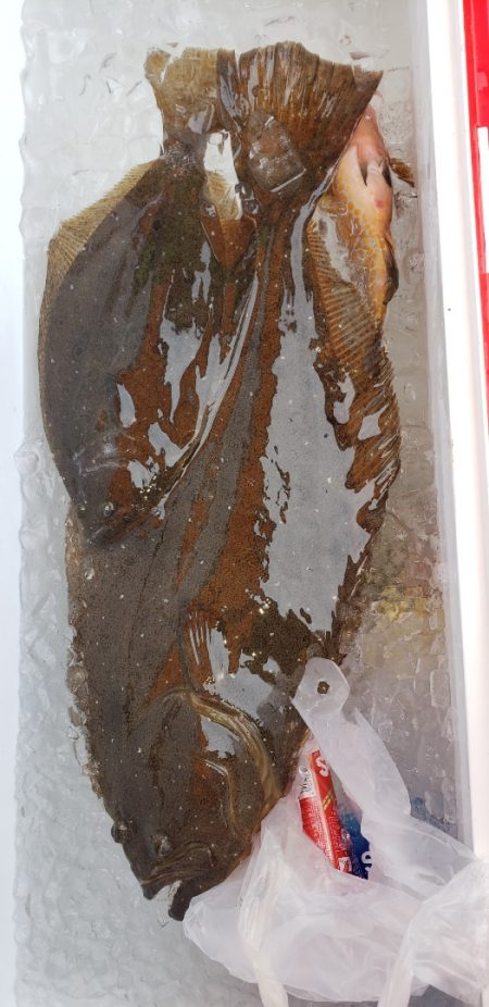 海龍丸（石川） 釣果