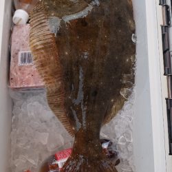 海龍丸（石川） 釣果