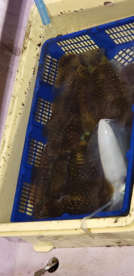 海龍丸（石川） 釣果