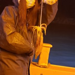 海龍丸（石川） 釣果