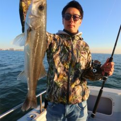 エル・クルーズ 釣果