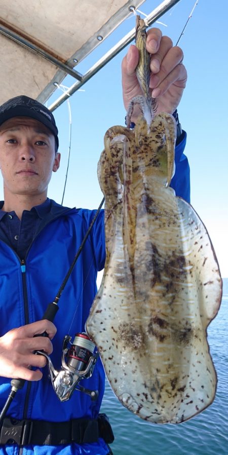 シースナイパー海龍 釣果