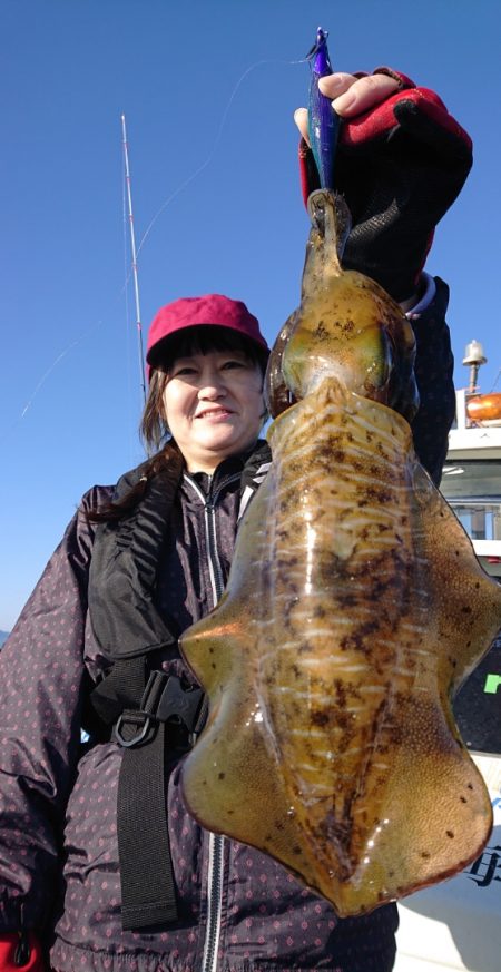 シースナイパー海龍 釣果