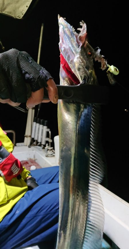 シースナイパー海龍 釣果