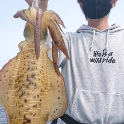 シースナイパー海龍 釣果