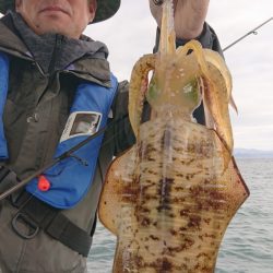 シースナイパー海龍 釣果