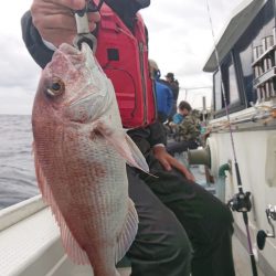 だて丸 釣果