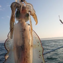 シースナイパー海龍 釣果