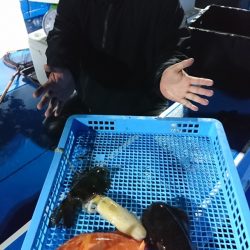 第三共栄丸 釣果