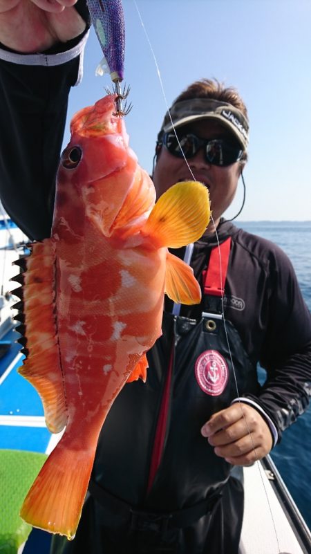 第三共栄丸 釣果