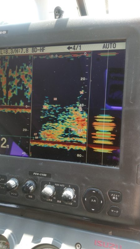 秀漁丸 釣果