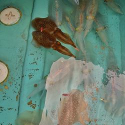 ブルースフィッシングサービス 釣果