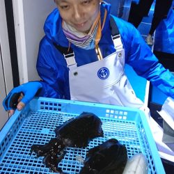 第三共栄丸 釣果