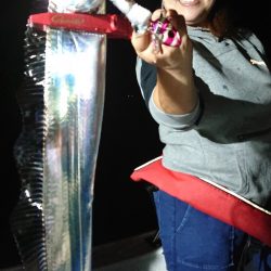 シースナイパー海龍 釣果