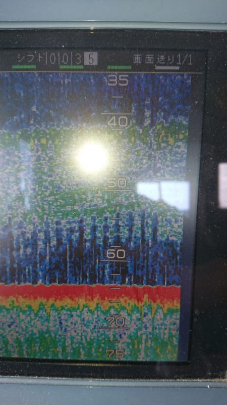 金沢八景鴨下丸 釣果